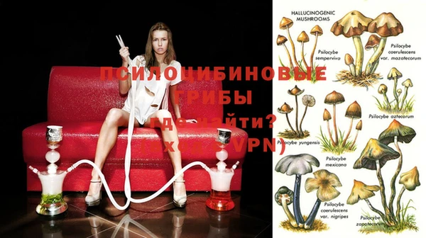 мефедрон Снежногорск