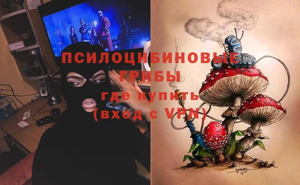 СК Волоколамск