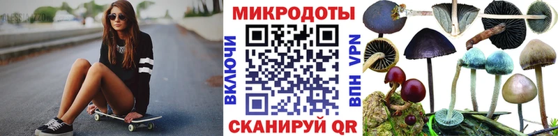 Купить Семилуки Галлюциногенные грибы MAGIC MUSHROOMS