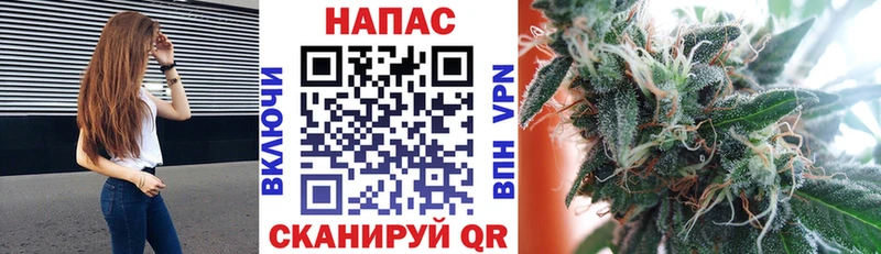 Купить закладки Семилуки Бошки Шишки планчик